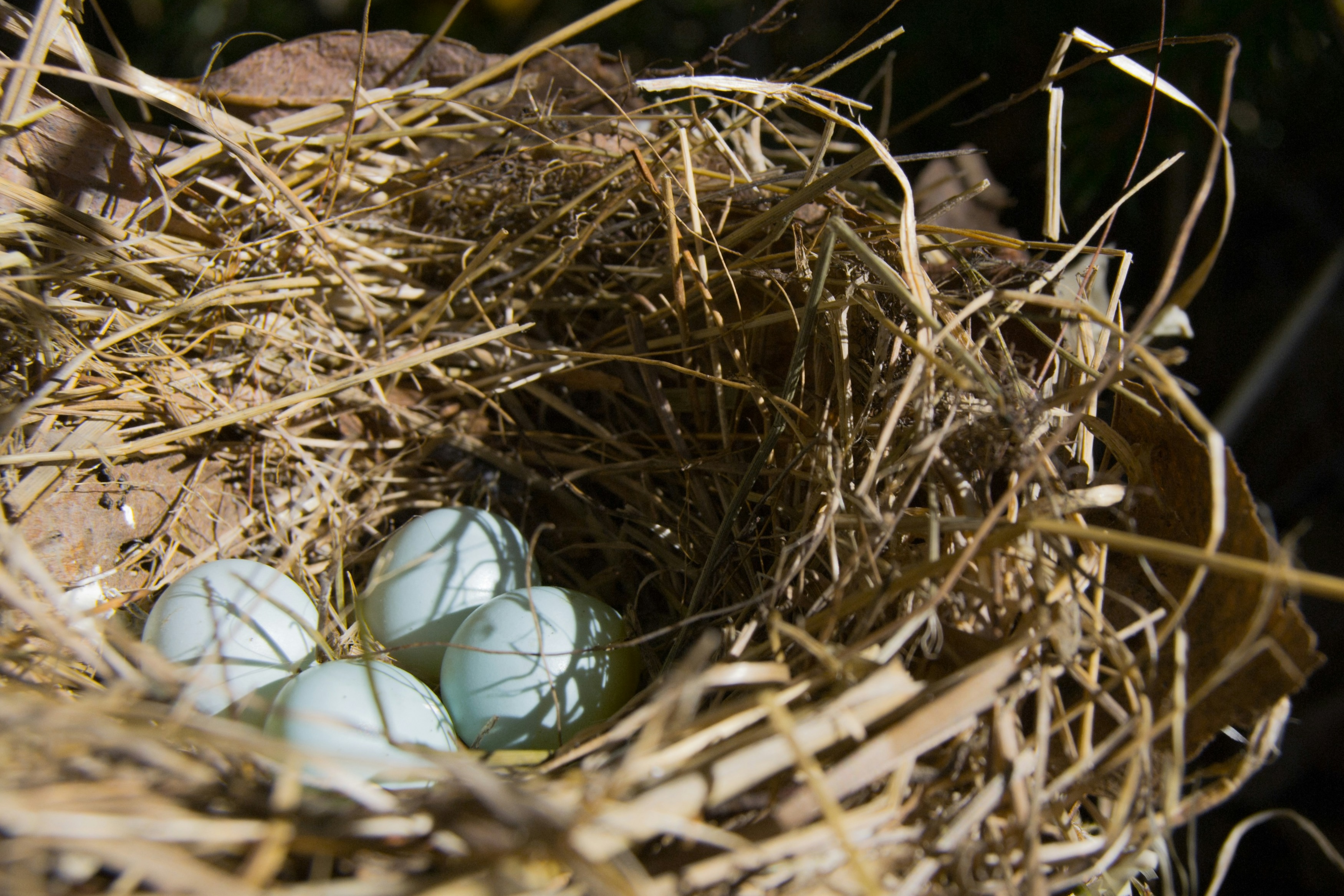 Savings and investments for sole traders