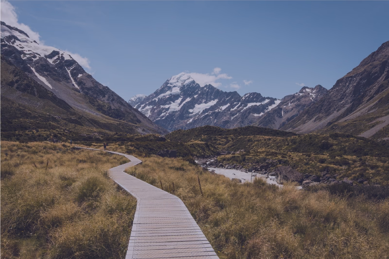 NZ Made Products Founder Sarah Colcord Talks Small Business Success