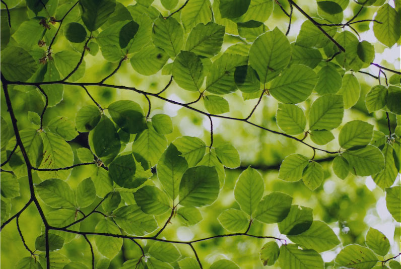 Spring Into Your Financial Plans This October